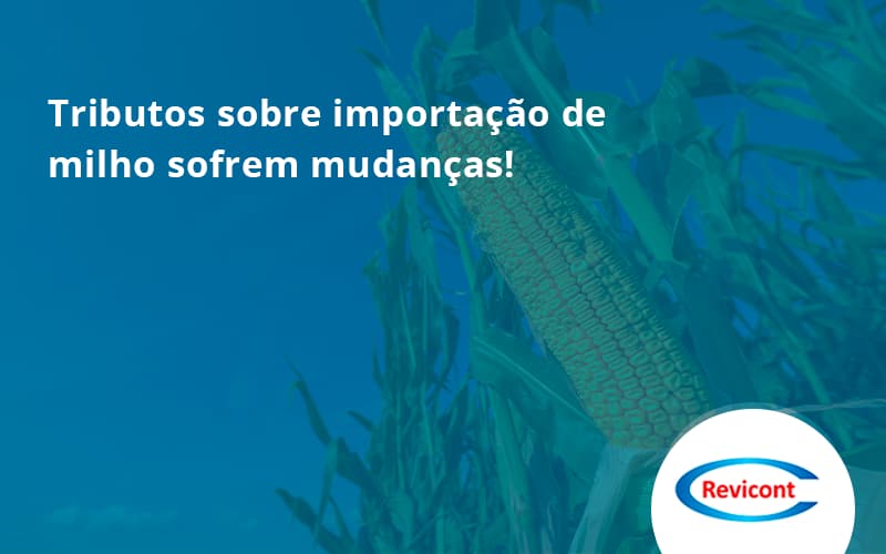 Tributos Sobre Importação De Milho Sofrem Mudanças! Revicont - Escritório de Contabilidade em São Paulo | Revicont Contabilidade
