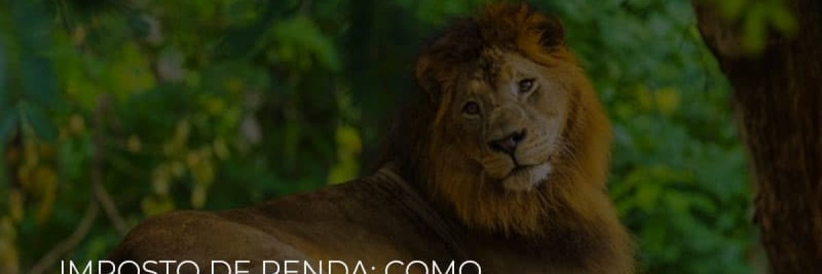 imposto-de-renda-como-solicitar-isencao-do-ir-2020